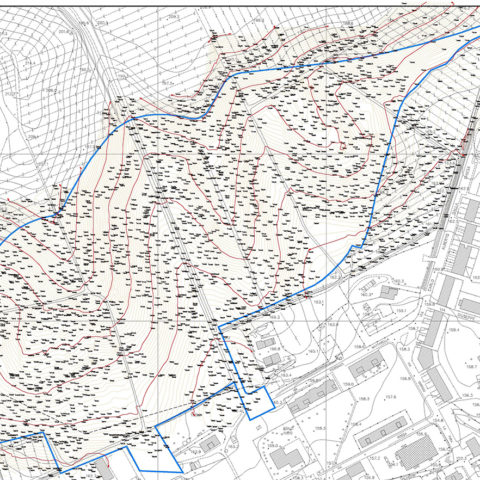 Topographic Surveys